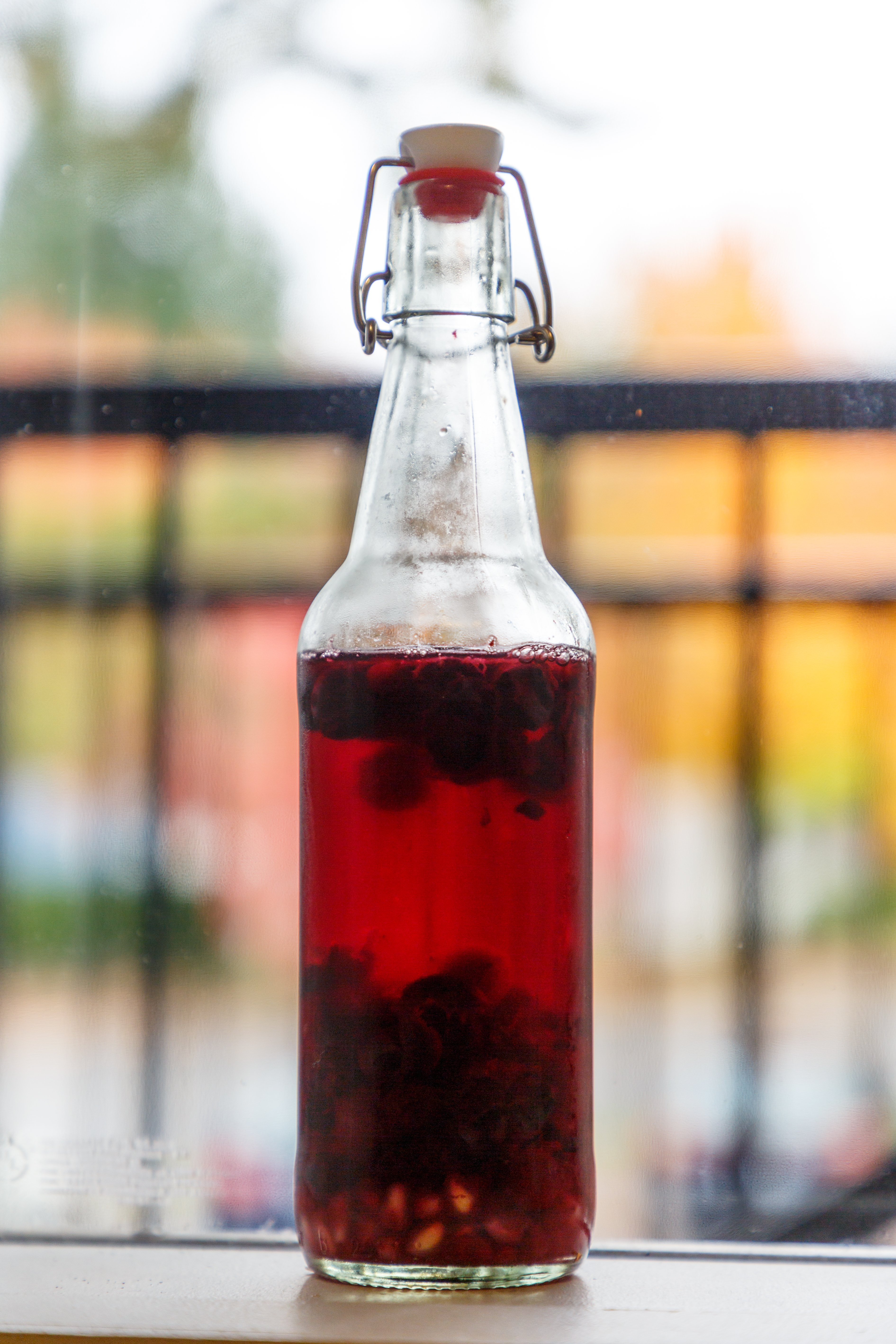 Brewing Your Own Kombucha? In a Dorm?