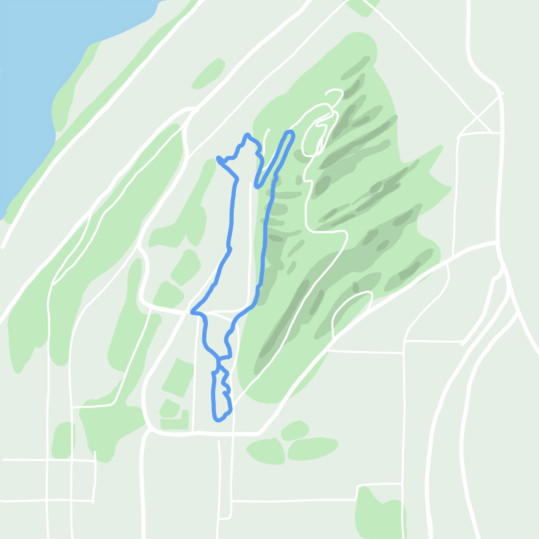 Illustration of a map of a trail through Sehome Hill Arboretum and its surrounding area.